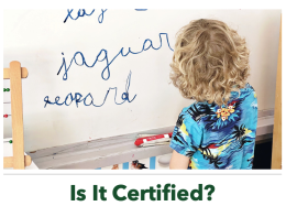 Is a Montessori education recognized by the government?